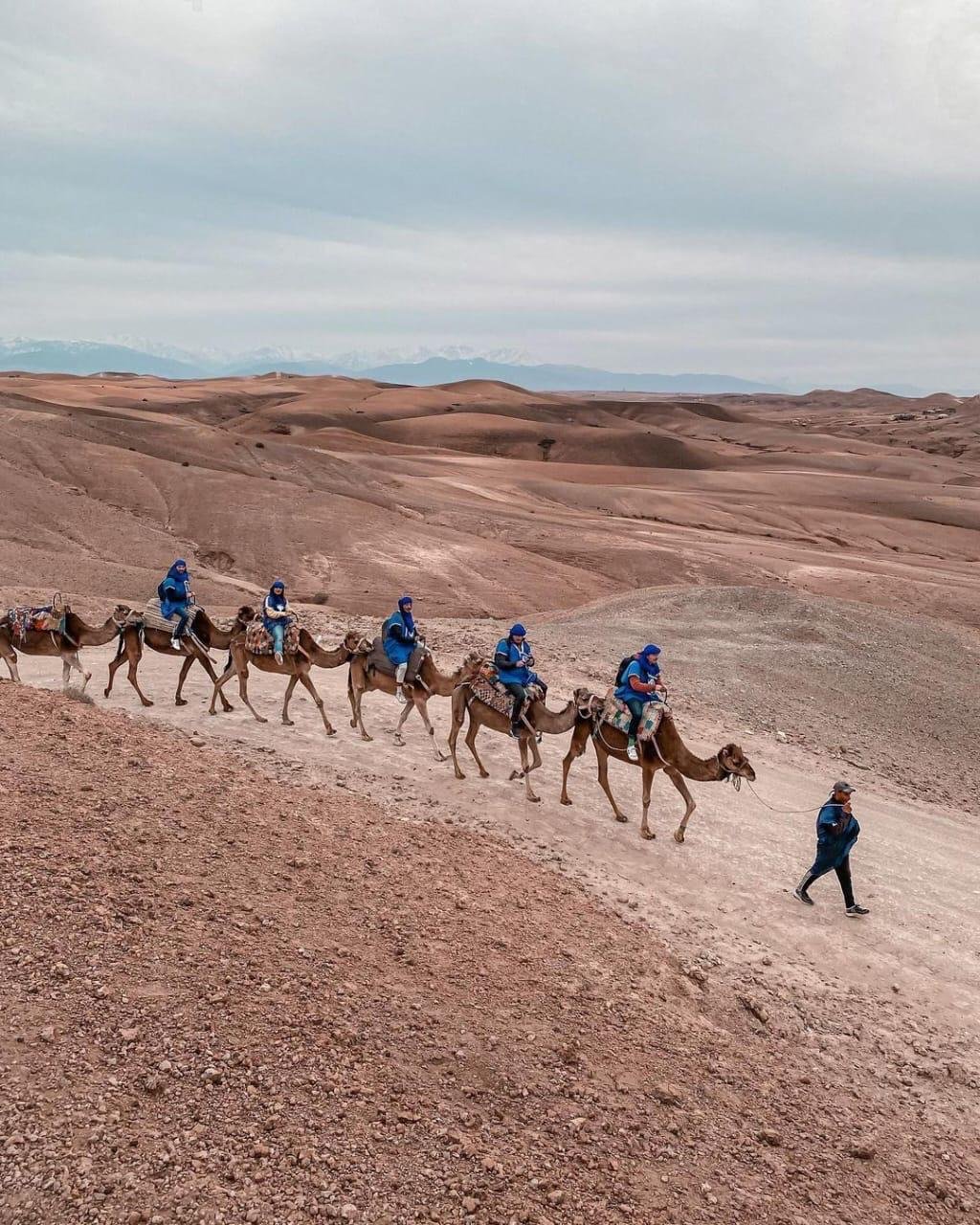 Circuit Sahara Oasis